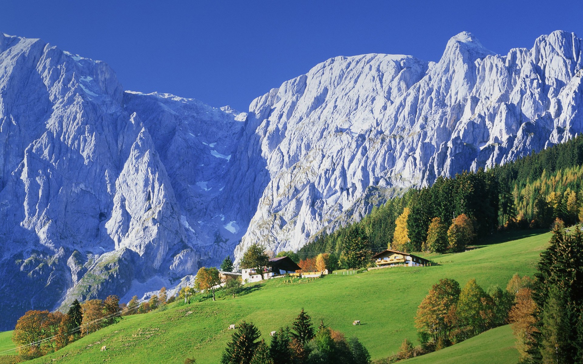 austria montañas casas pueblo bosque prados naturaleza