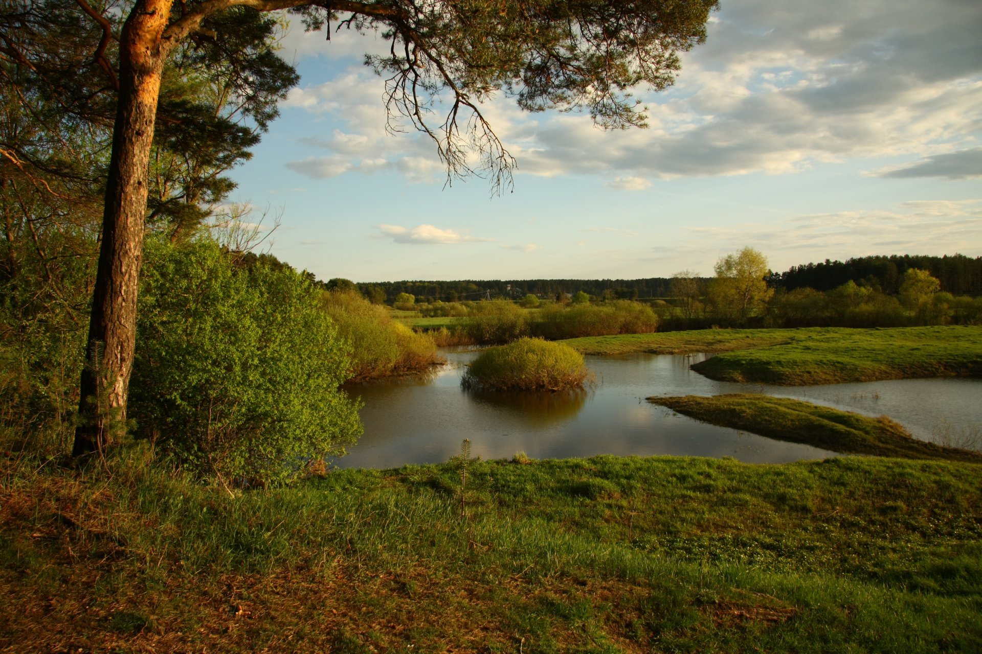 paysage nature rivière pin ciel repos promenade