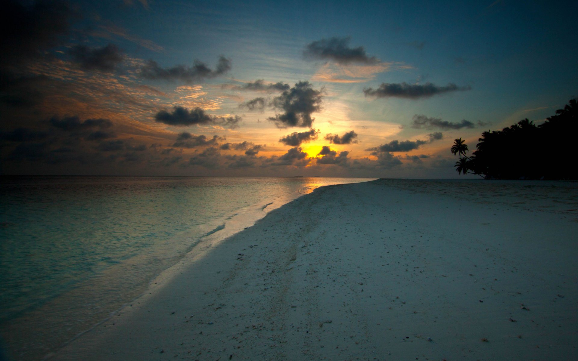 paysage plages côte côte eau sable couchers de soleil arbres palmier palmiers arbre soleil nuages nature soir photos