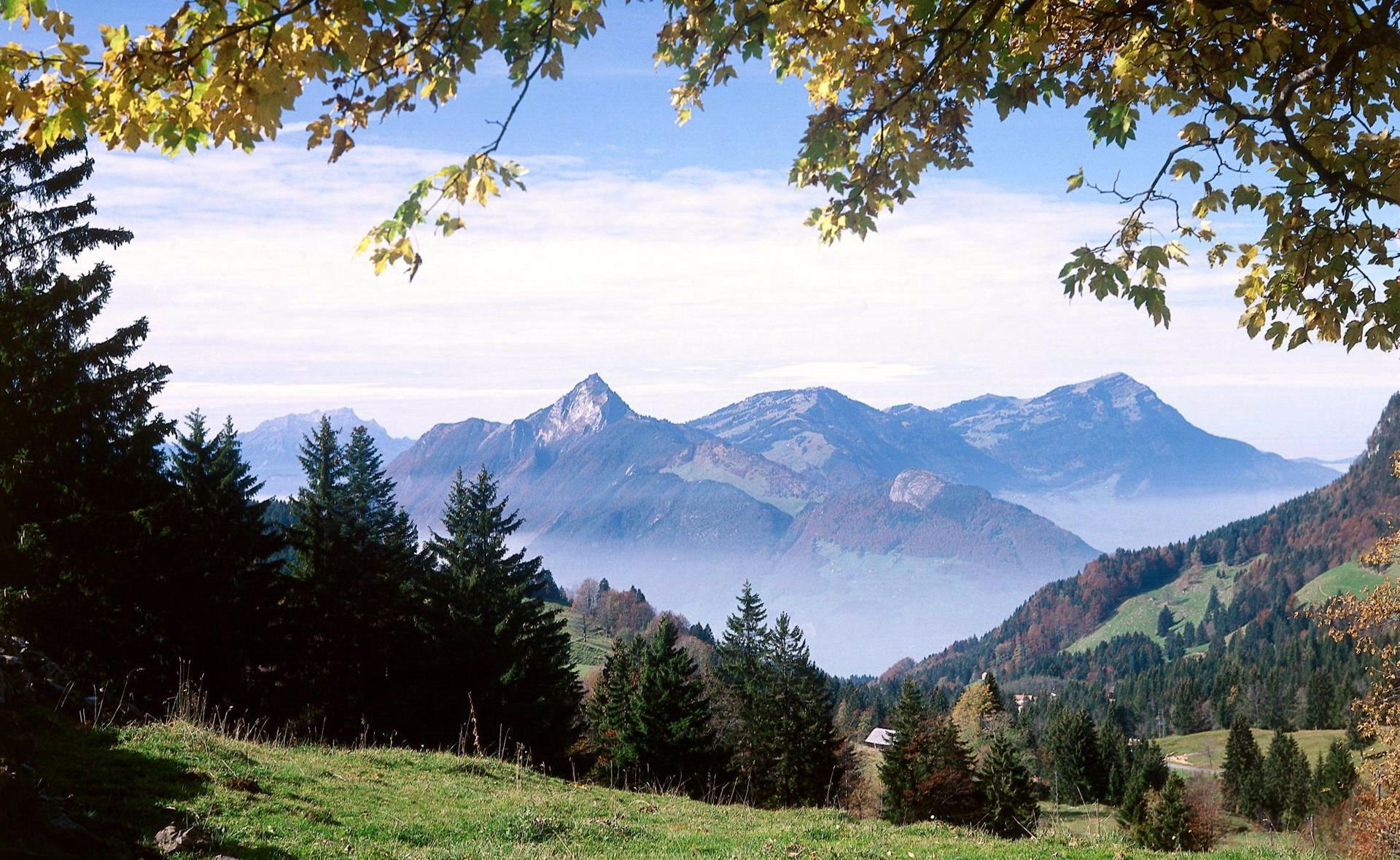 montagnes nature forêt