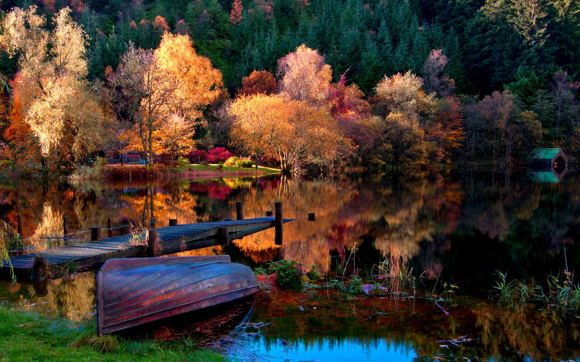 boat nature landscape lake autumn forest tree house leaves gra