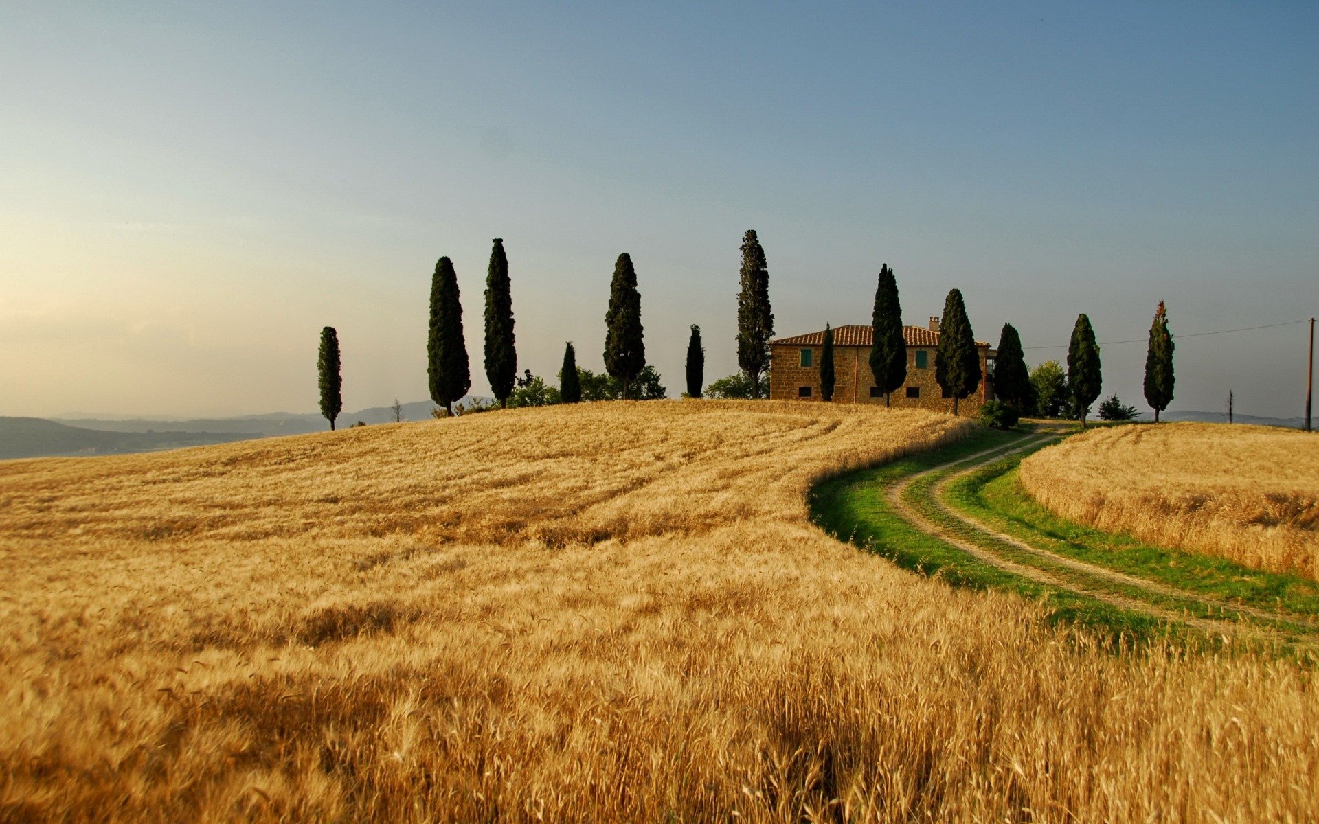 paisaje naturaleza campo campos italia taskania trigo otoño árbol árboles casas cielo