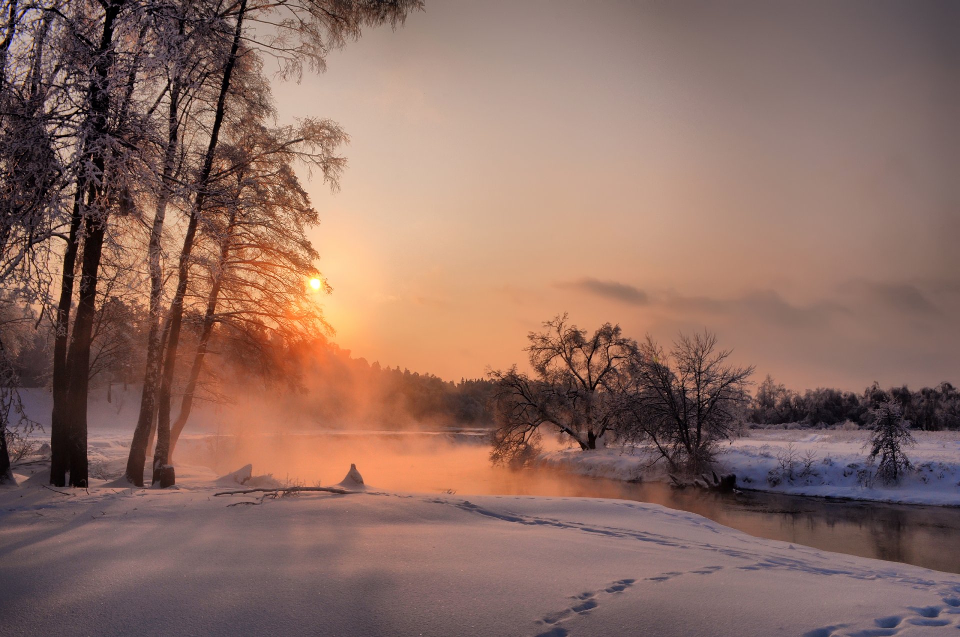 night december tree sunset winter forest malakhovka sky landscape river snow sun silence fog