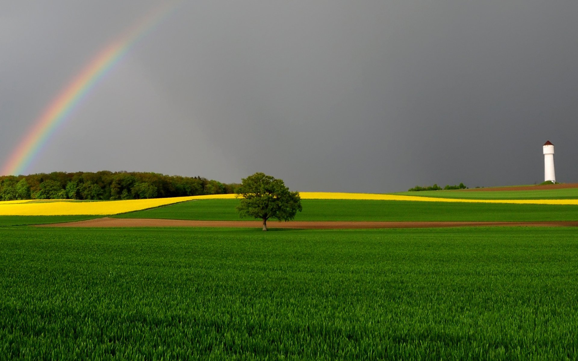 baum regenbogen feld turm himmel