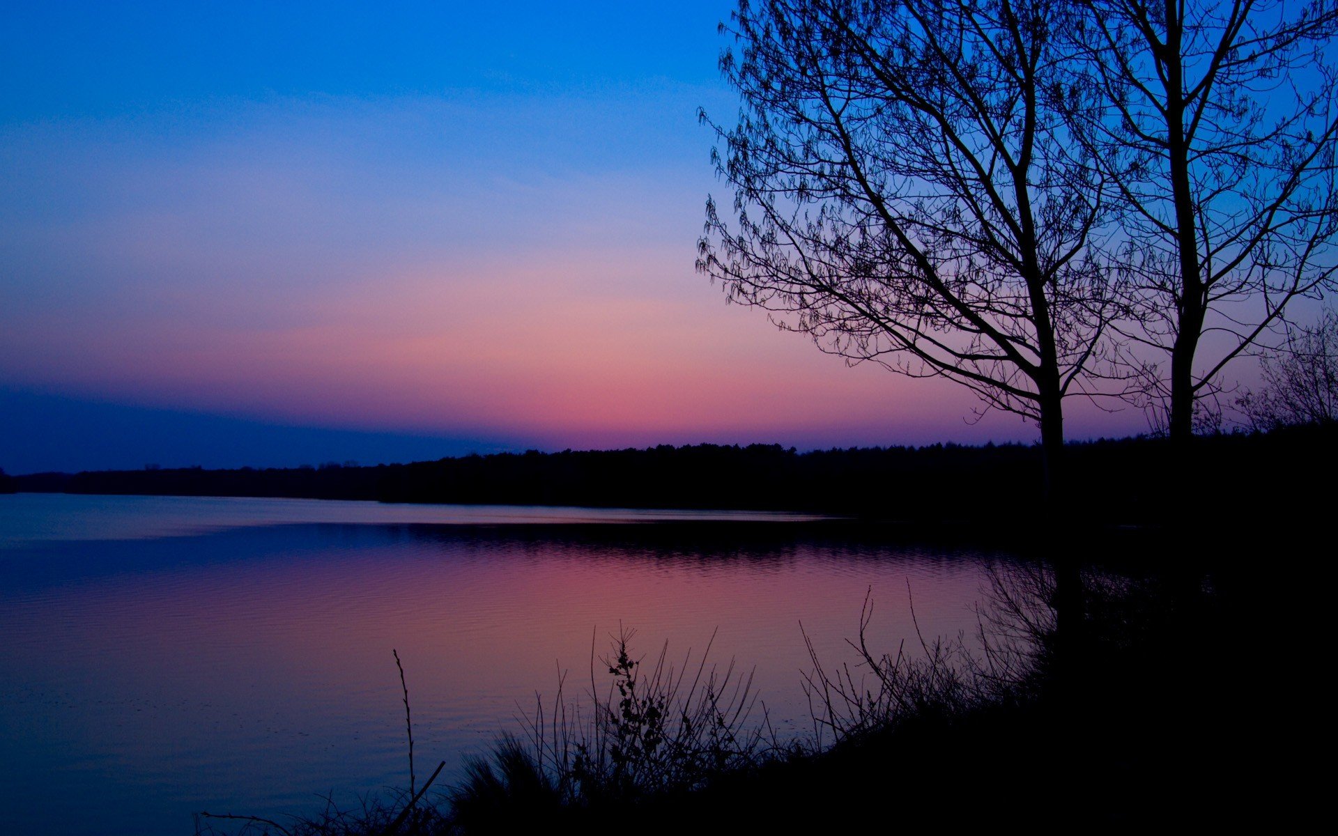 amanecer rosa azul bosque río