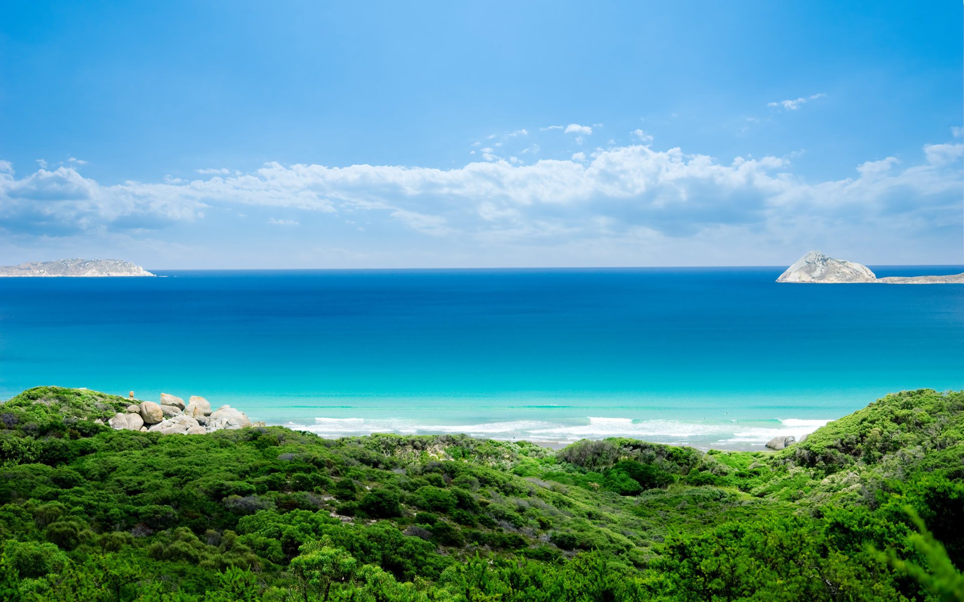 mare cielo verde