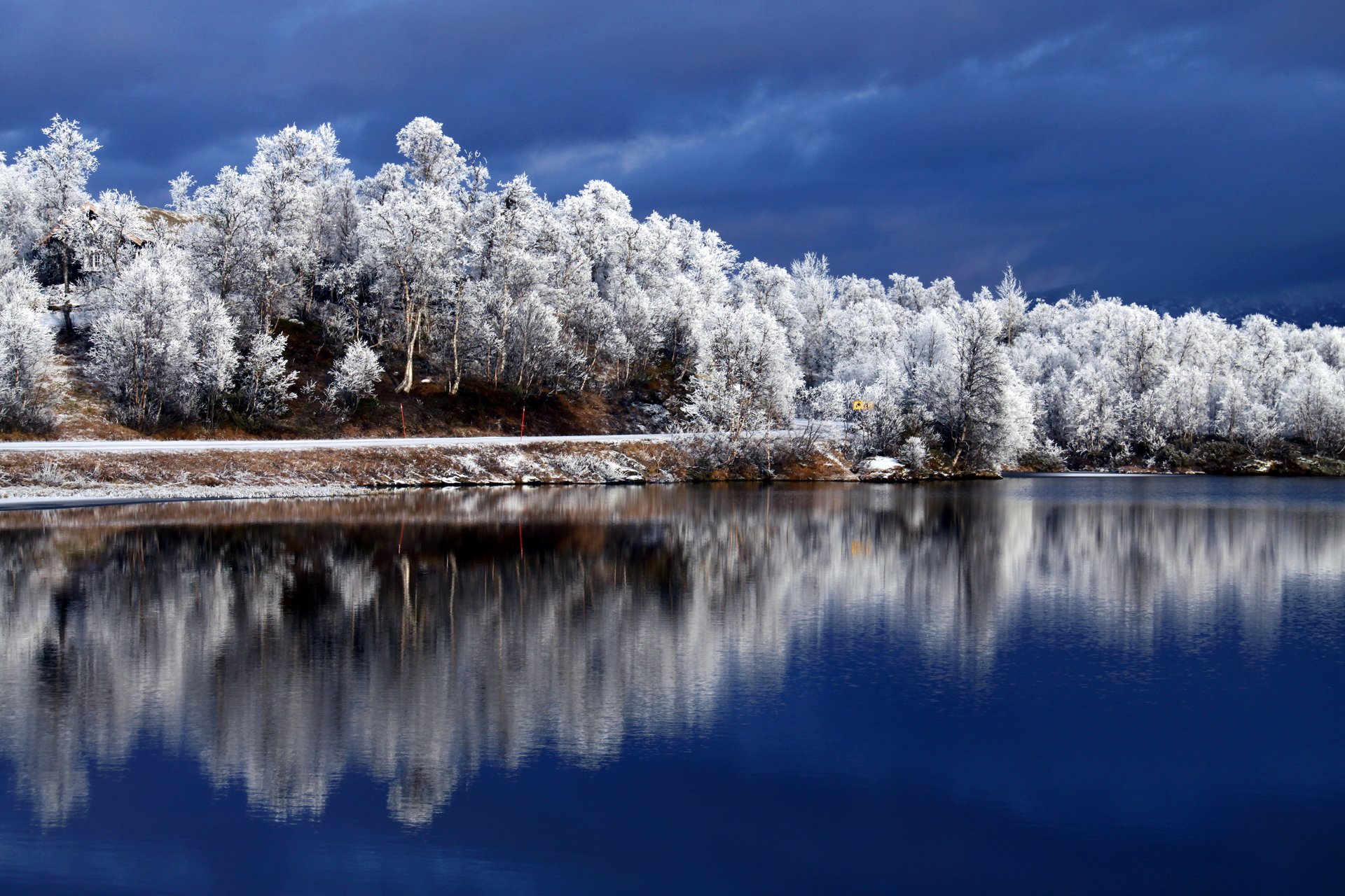 alberi fiume riflessione inverno iniy cielo