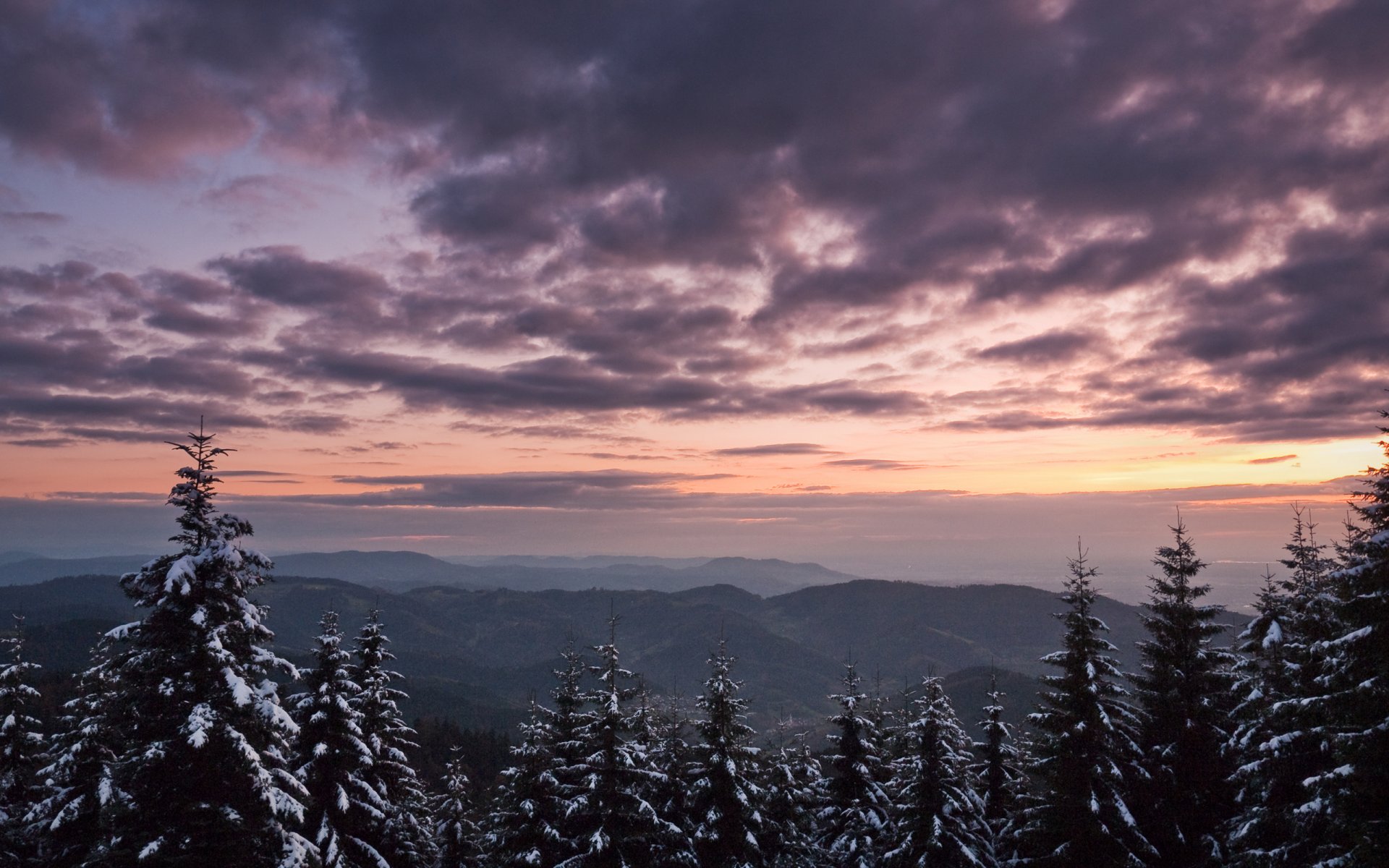 paysage d hiver nature hiver papier peint d hiver arbre arbres sapin sapin sapin de noël neige chutes de neige montagne montagne pic sommets vent ciel hauteur nature d hiver