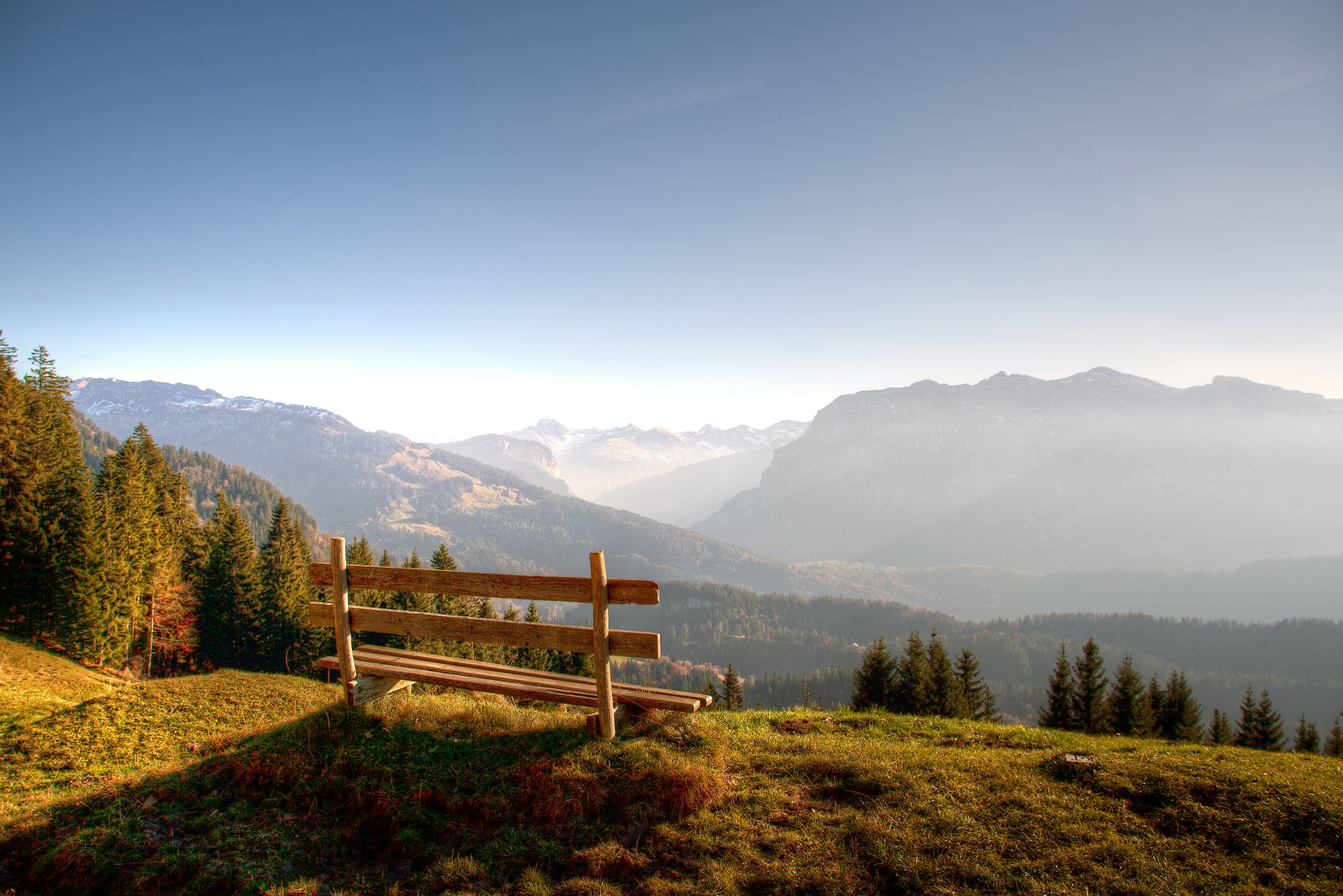 berge wald geschäft am rande