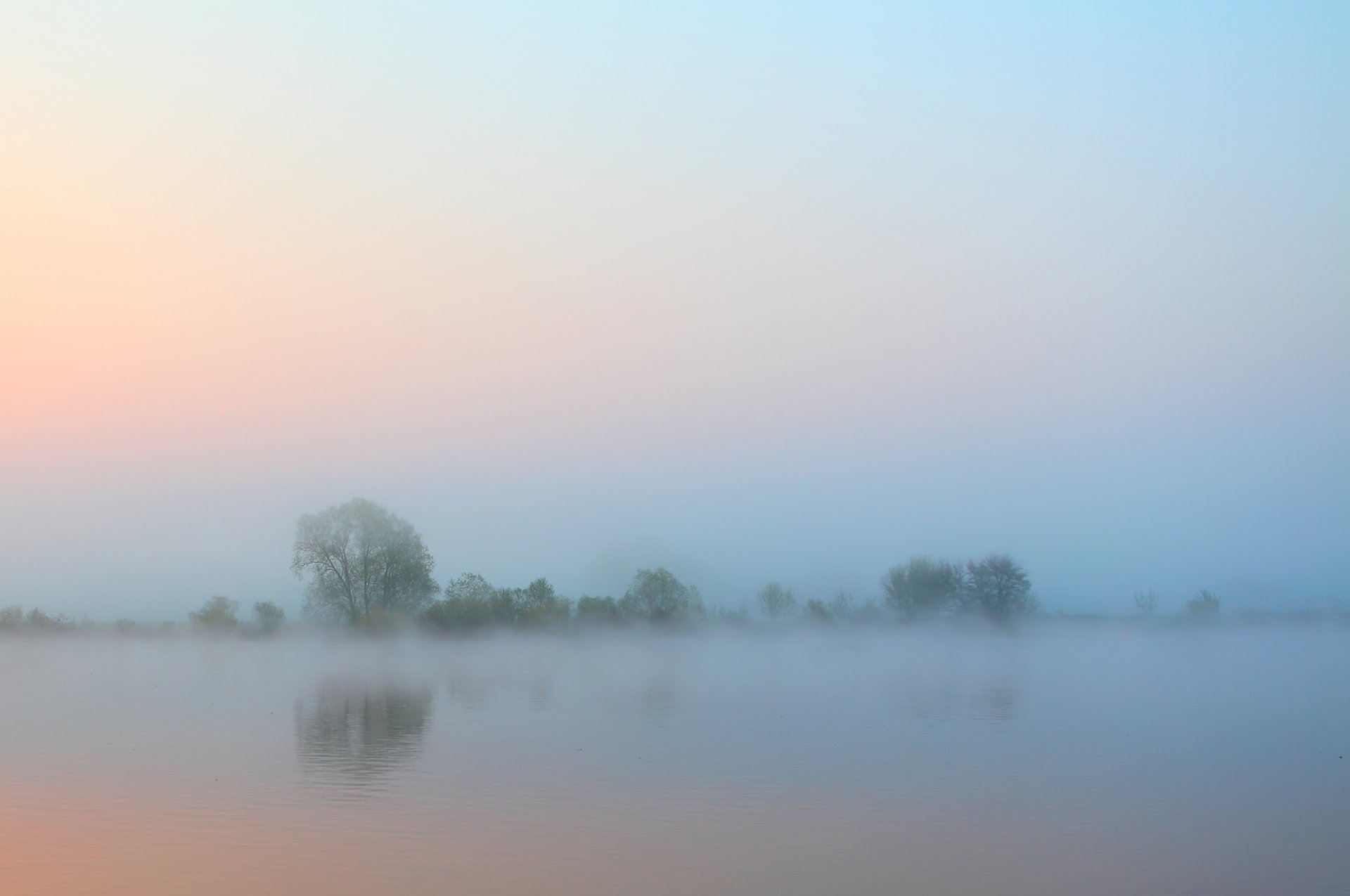 matin rivière brouillard arbres ciel eau