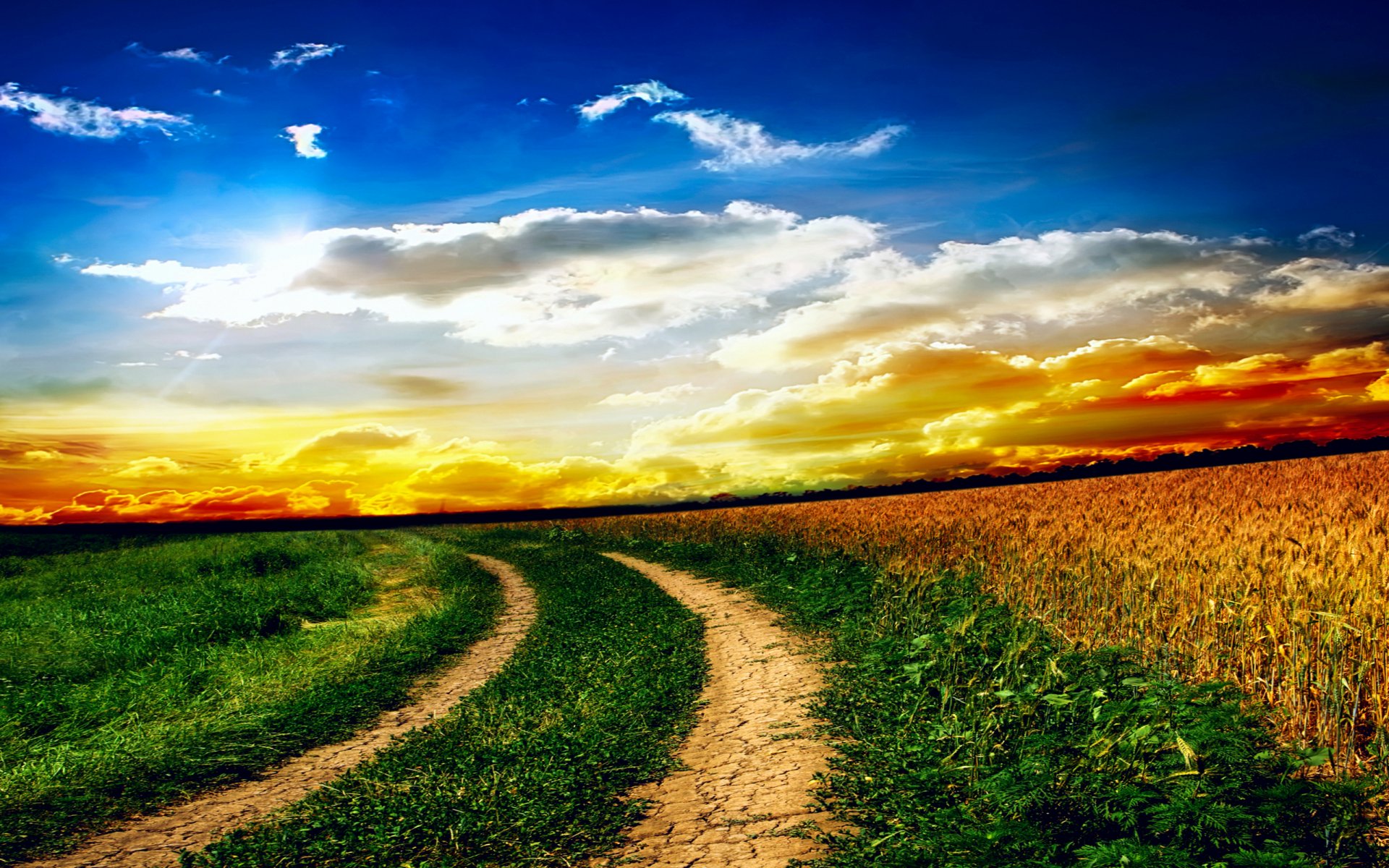 natura paesaggio cielo nuvole tramonto erba campo strada