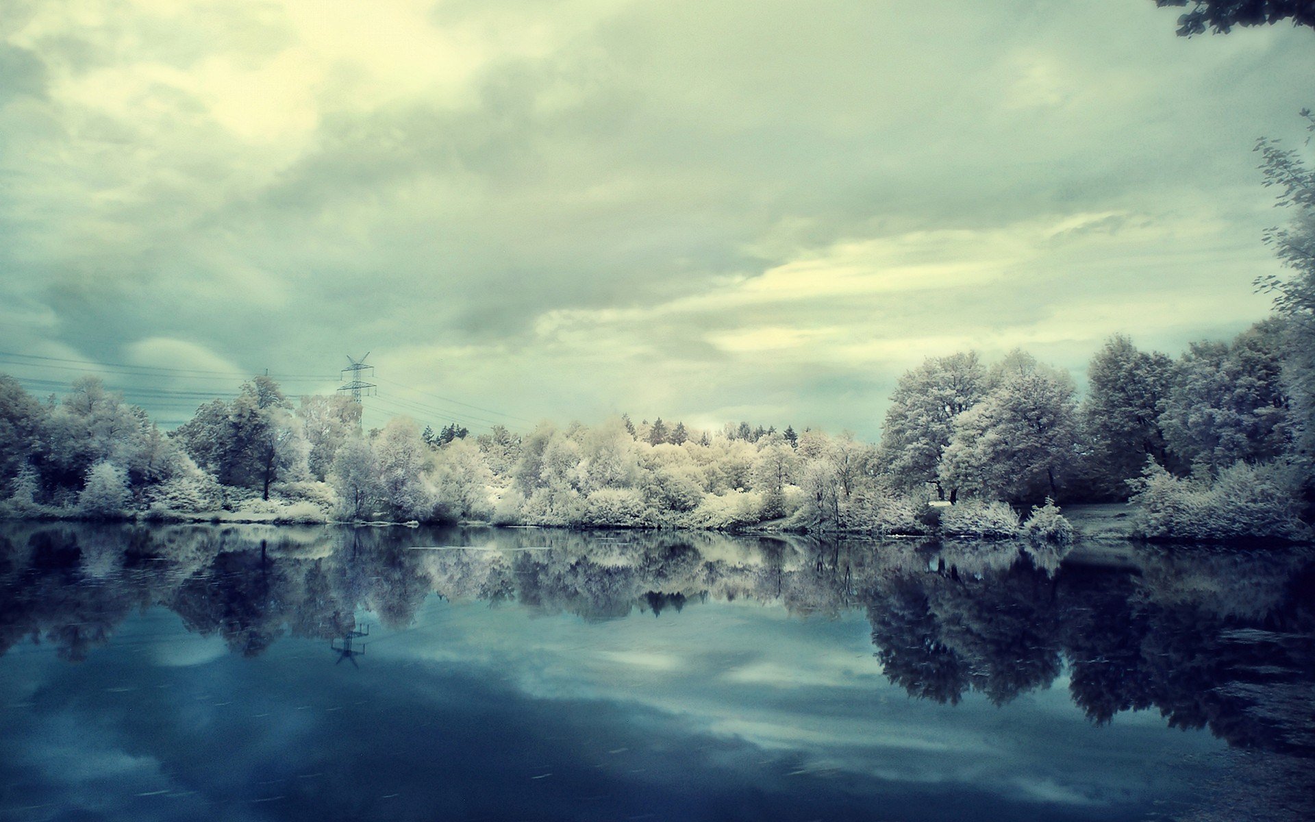 hiver neige givre lac arbres nuages nuageux