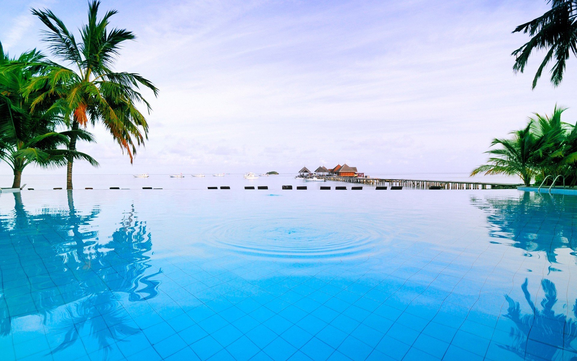 nature landscape water river sea palm tree leaves house apartment reflection