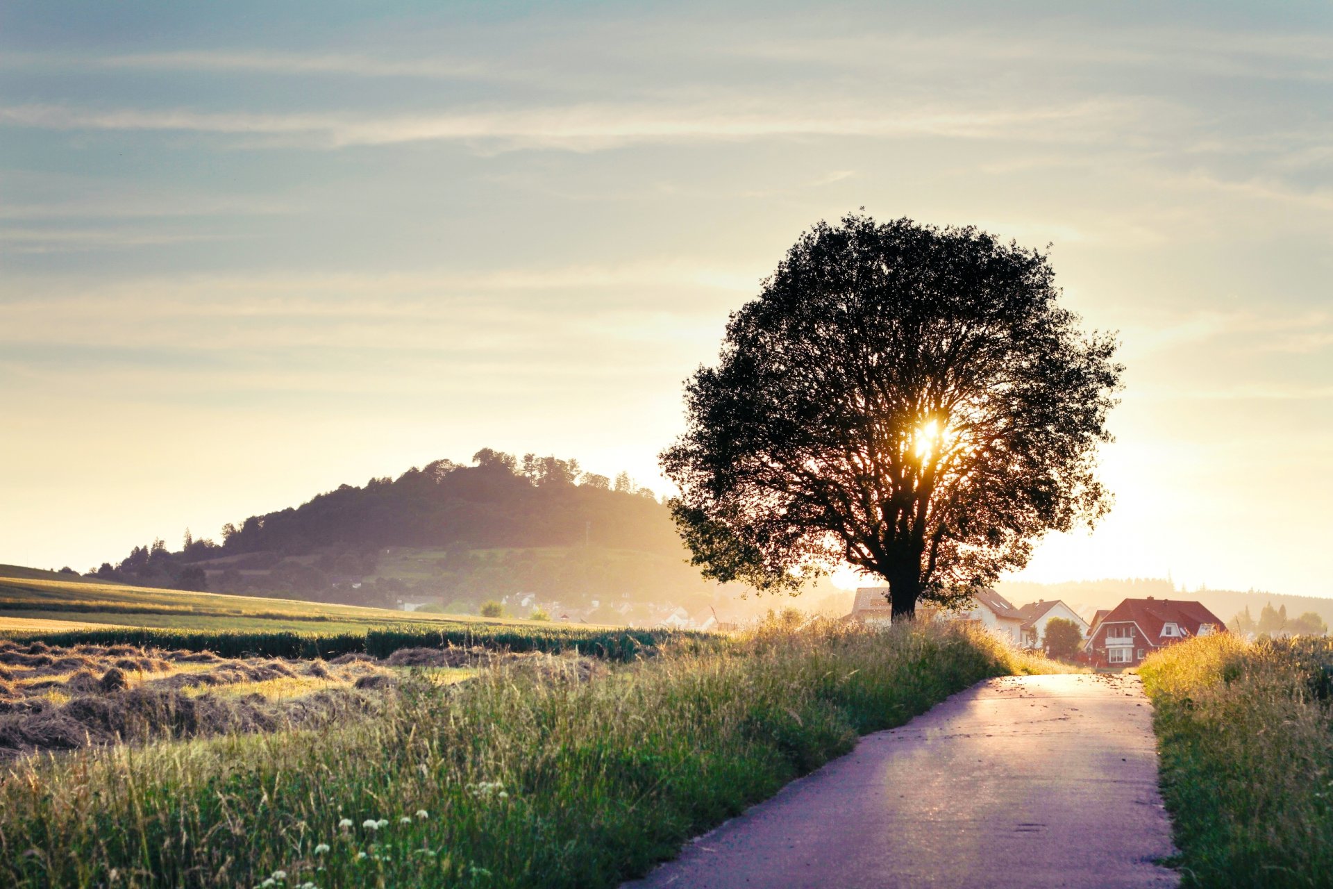 sommer natur landschaft straße baum häuser sonne licht strahlen hintergrund tapete