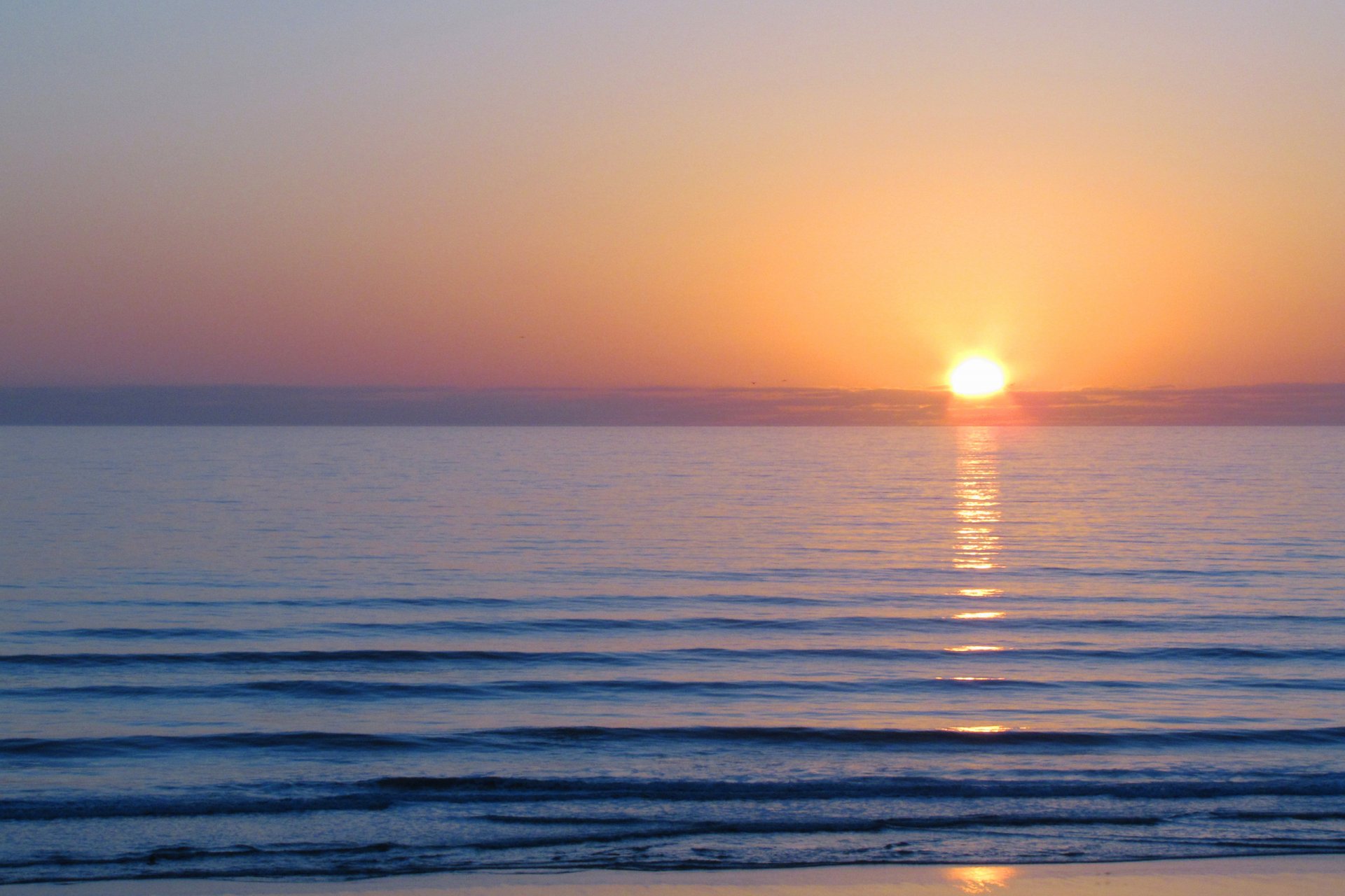 ea water surface of waves flowers dawn morning sun clouds sky light landscape