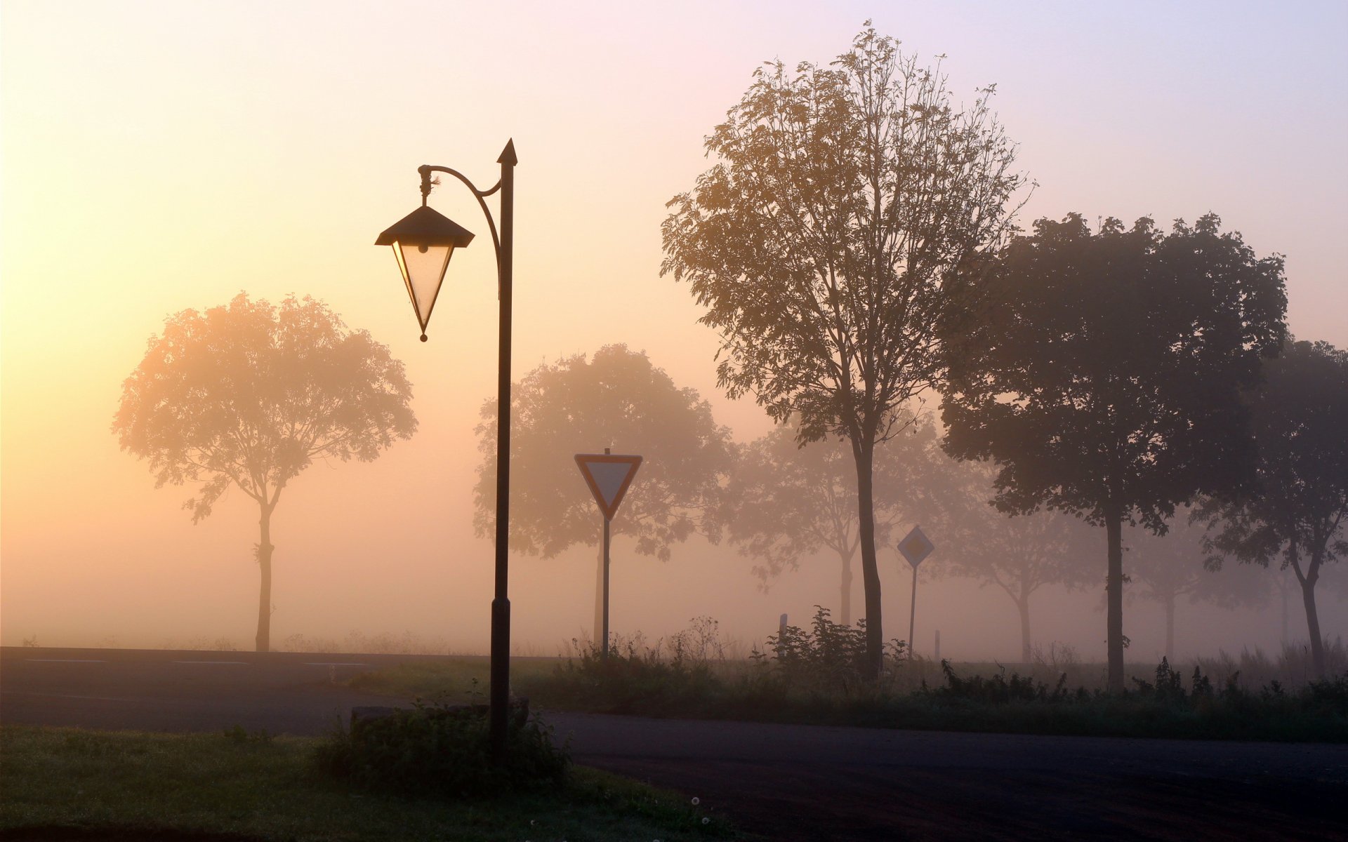 road marks fog