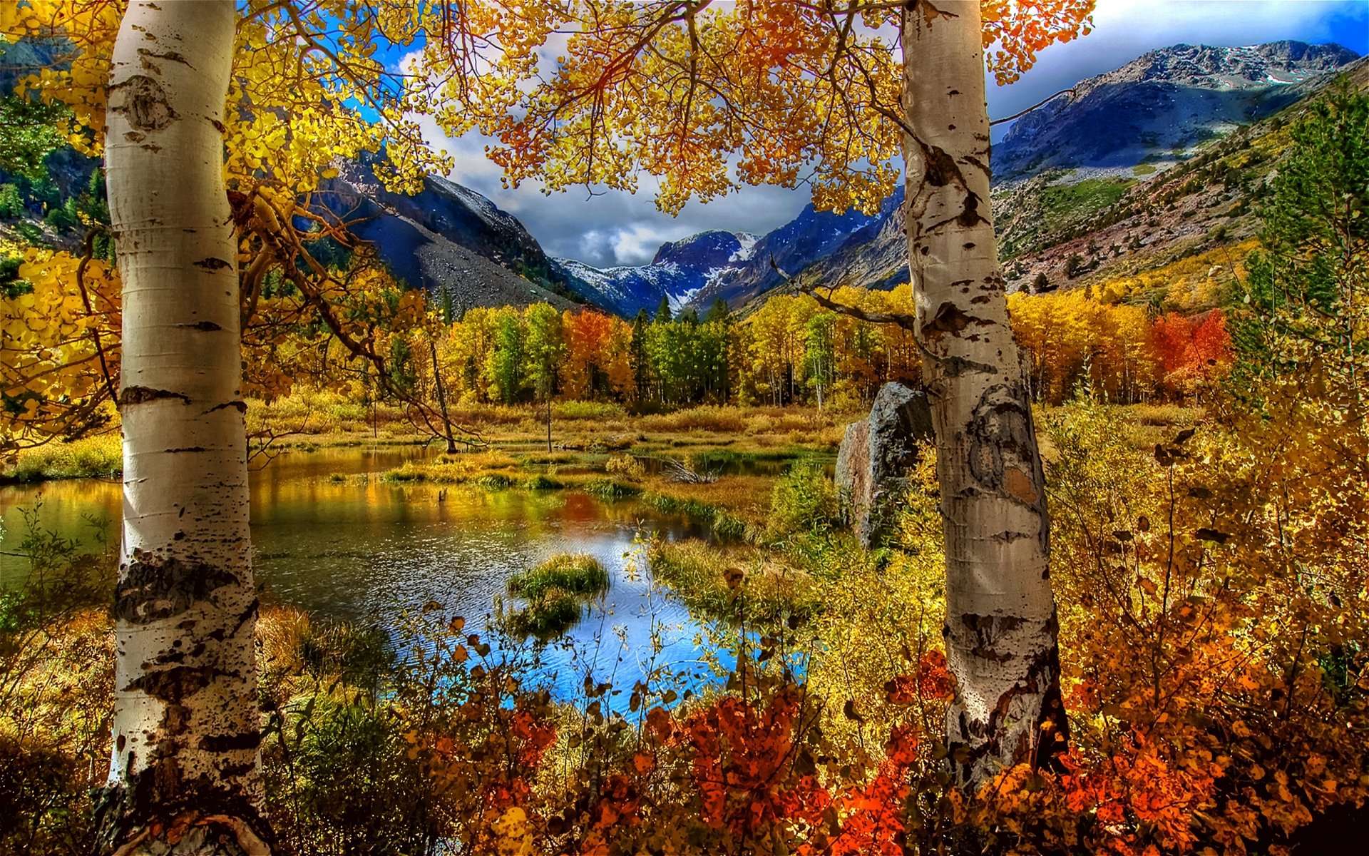 nature landscape autumn tree leaves mountain lake sky clouds gra