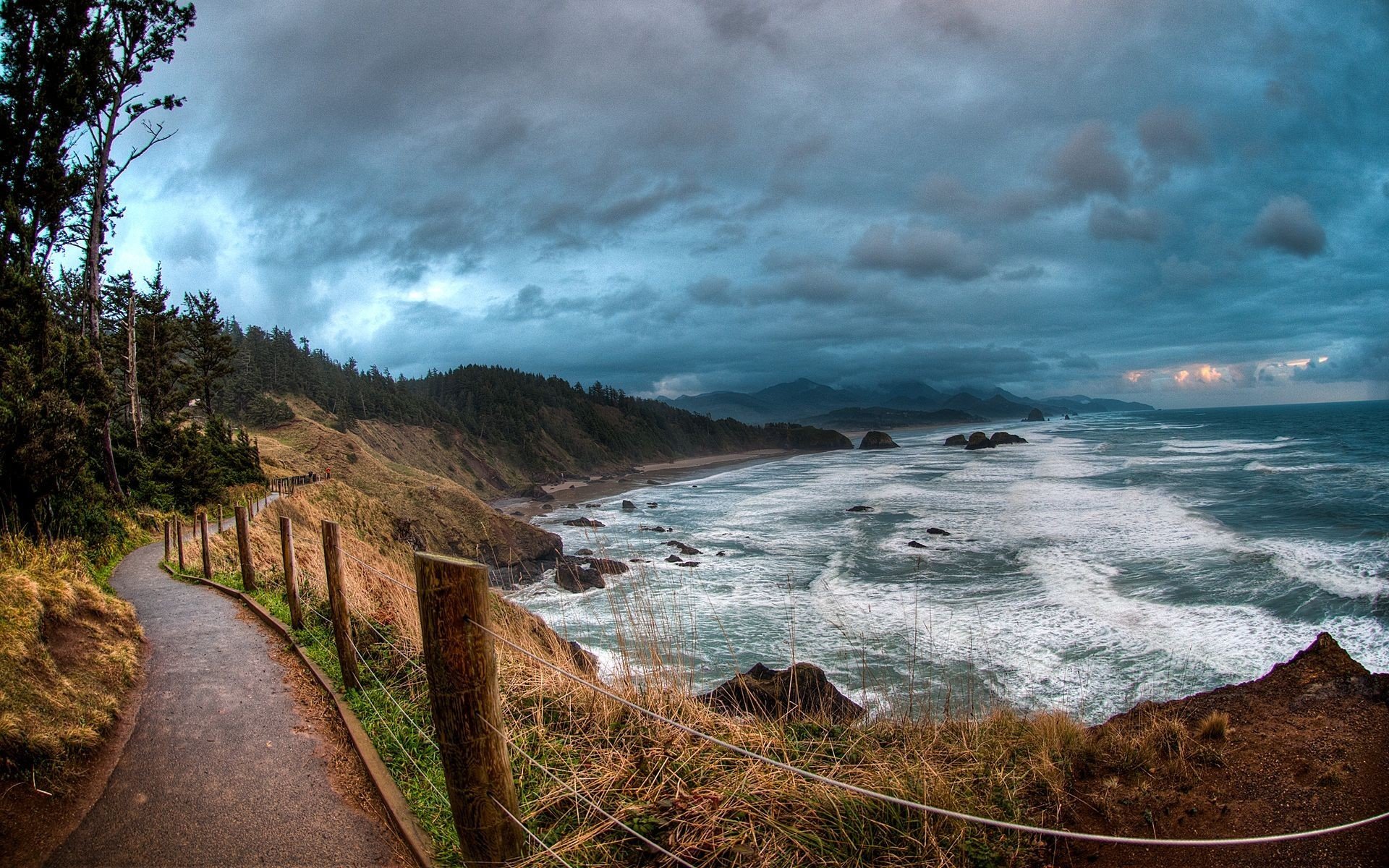 beach sea ocean waves wave fence track tree sky