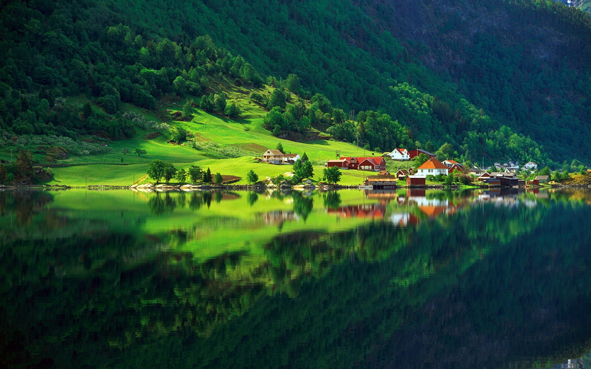 natur wald grün sommer land zuhause see reflexion