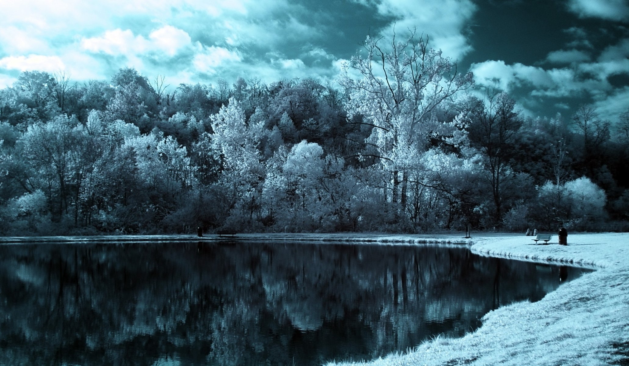 lago bosque árboles cielo nubes efecto