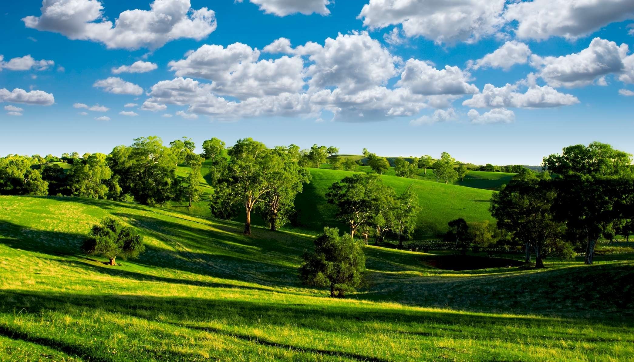 verde valle paisaje naturaleza foto árboles cielo azul nubes valle azul cielo horizonte