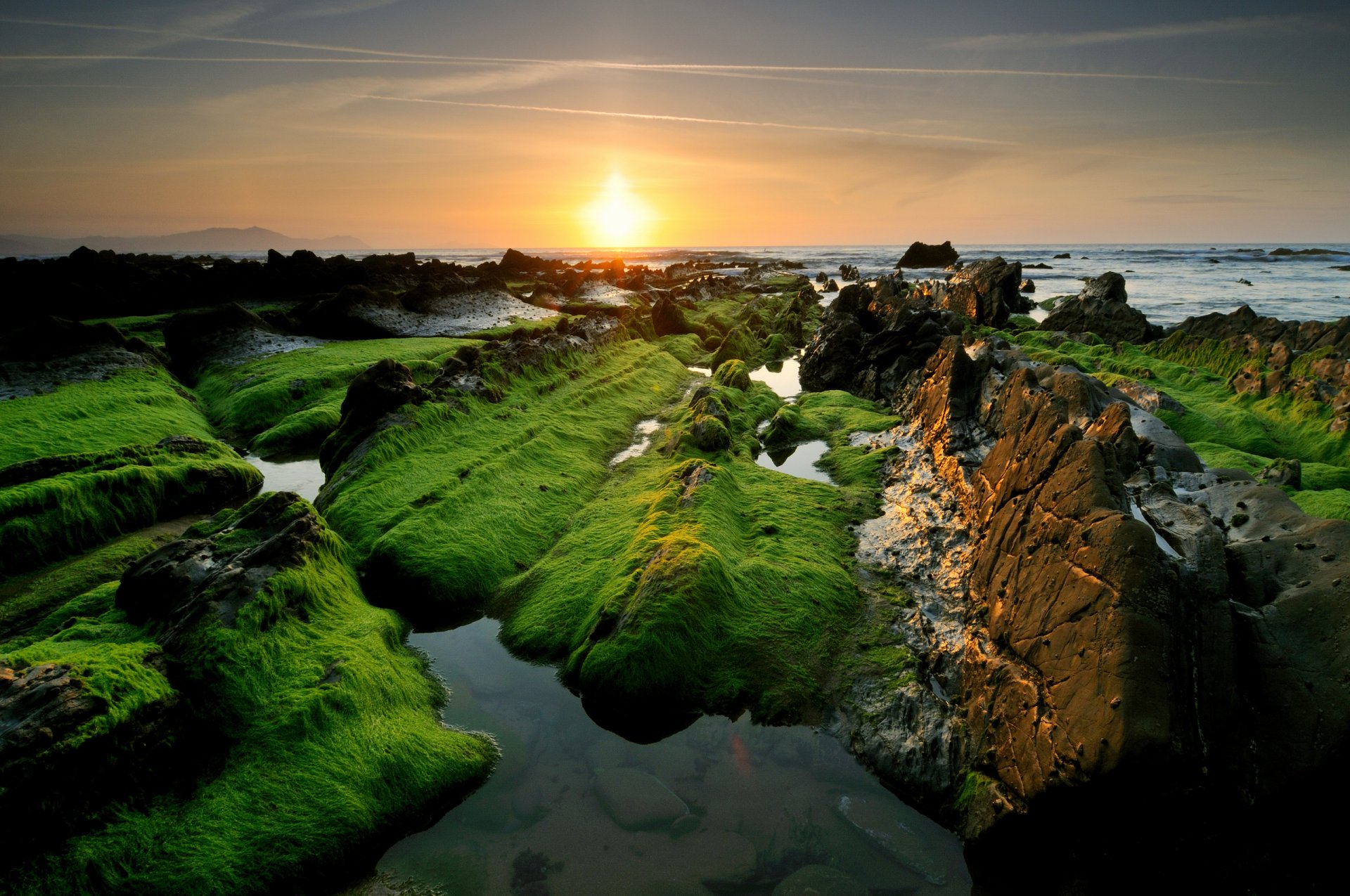 mar piedras rocas verde sol