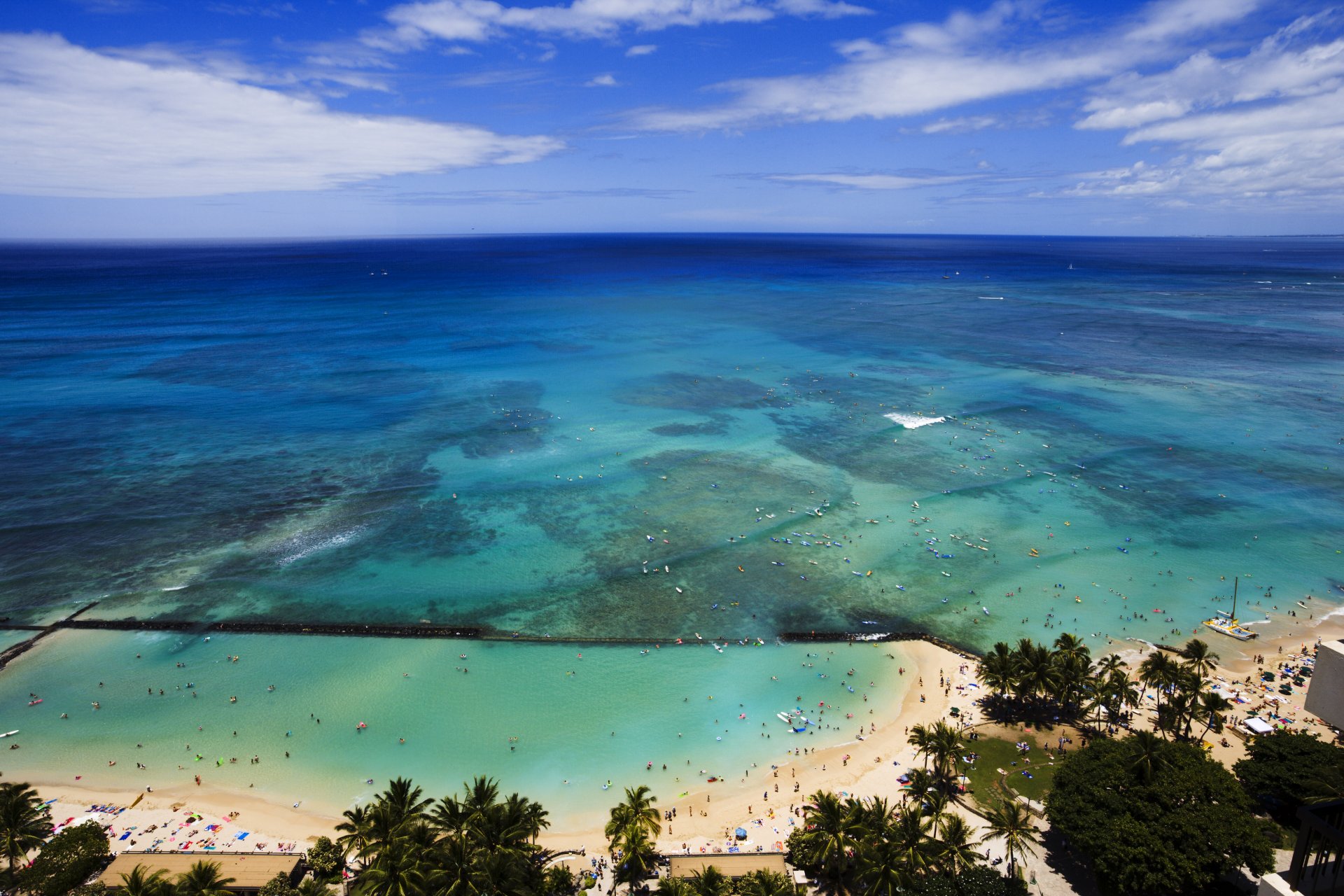 hawaje usa ocean palmy chmury niebo