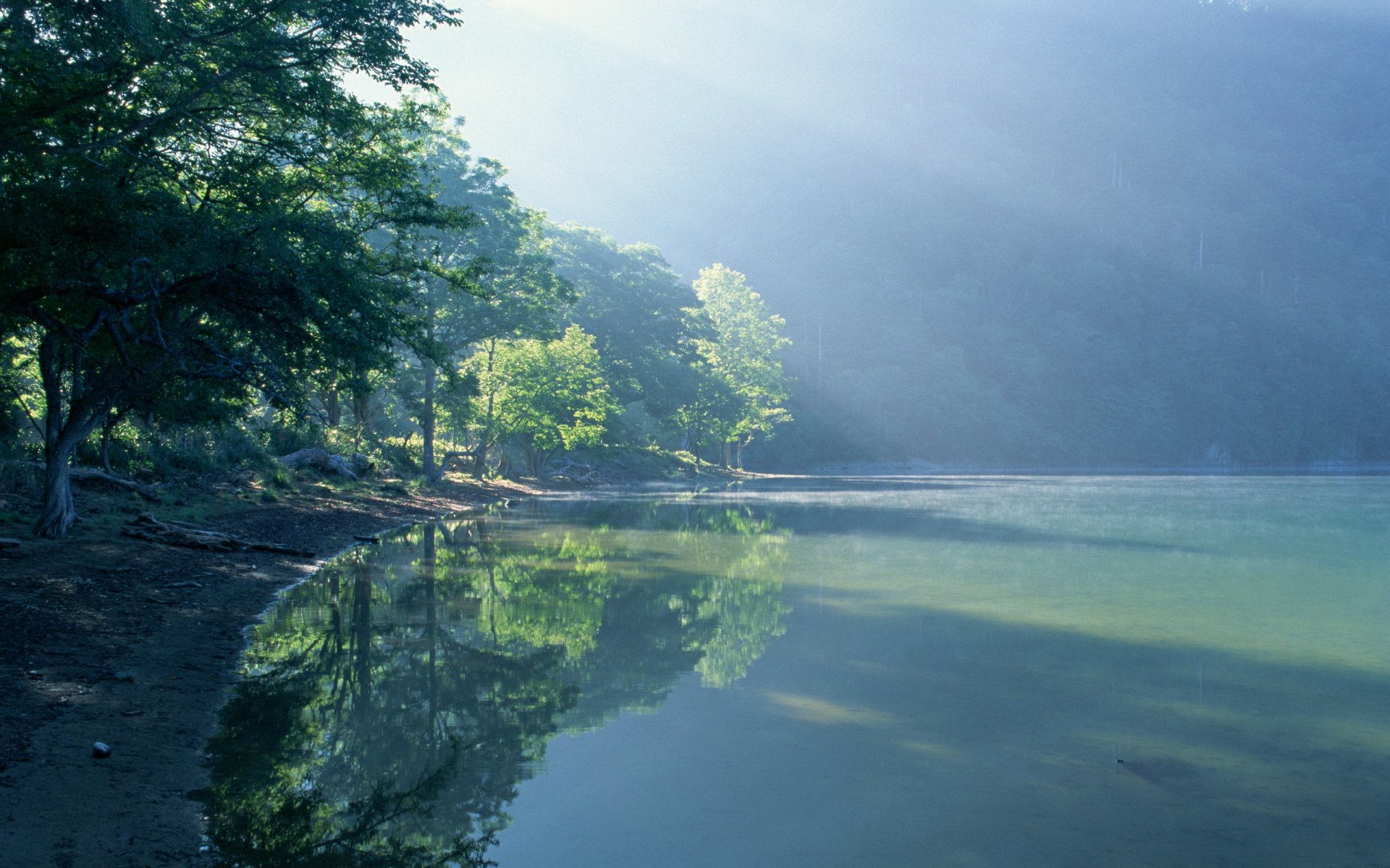 paesaggio natura nebbia lago acqua riva luce sole alberi 2560x1600