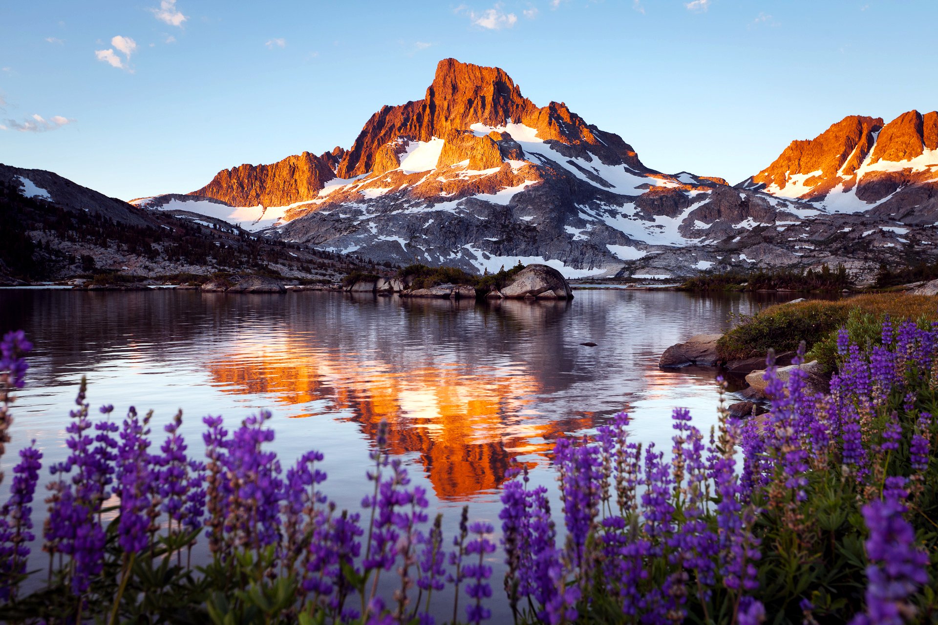 berg felsen see blumen