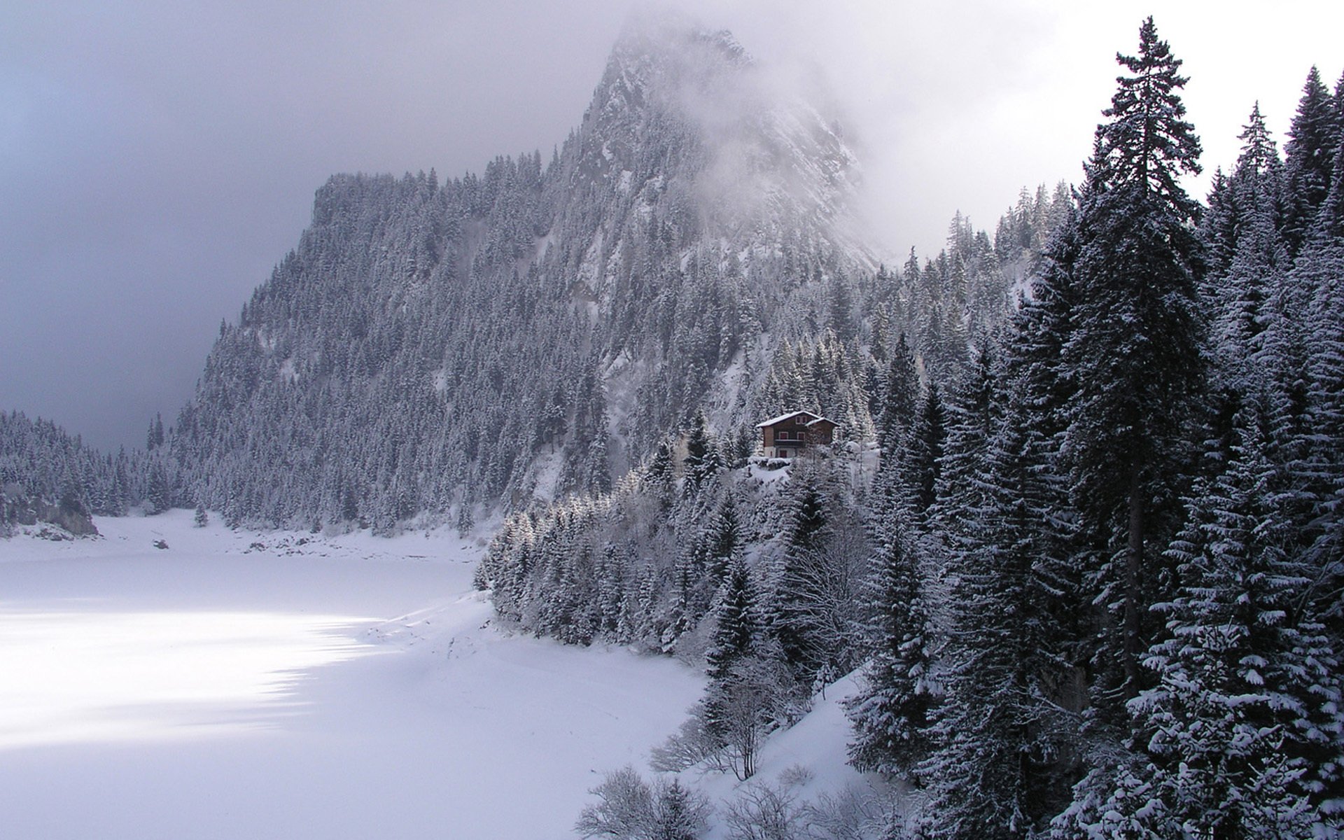 hiver forêt montagnes maison