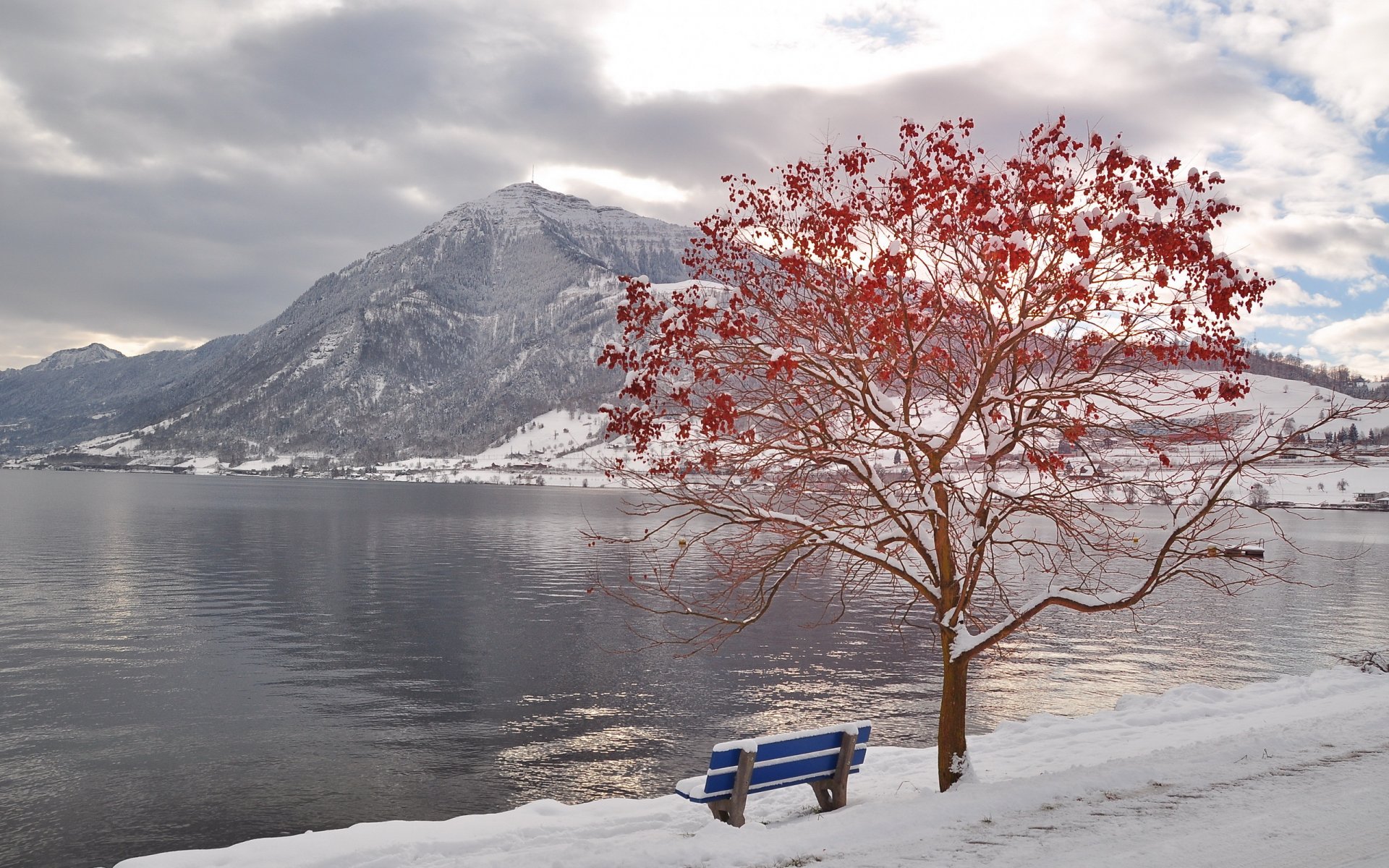 winter river mountain tree bench