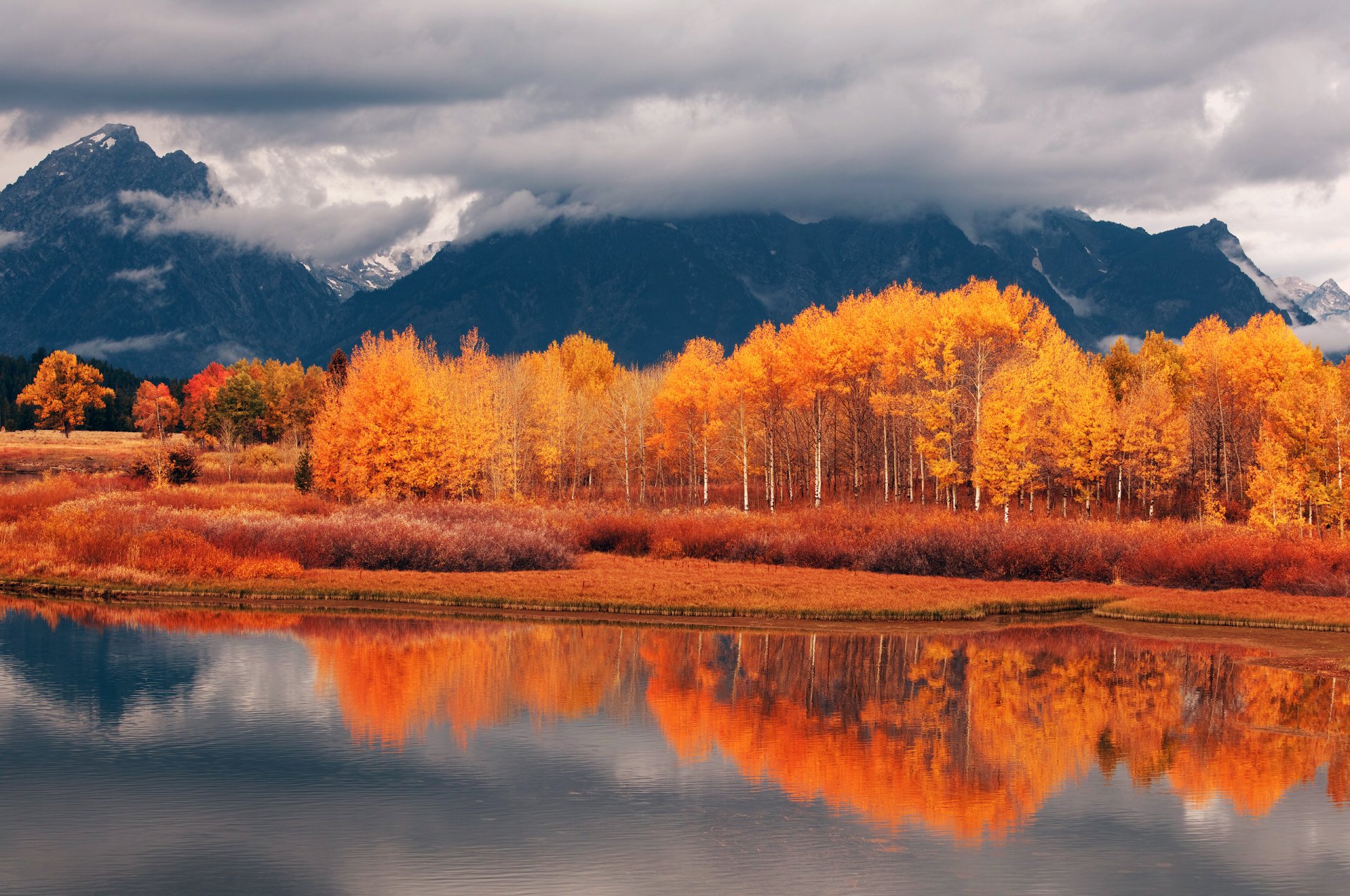 forest autumn mountain river