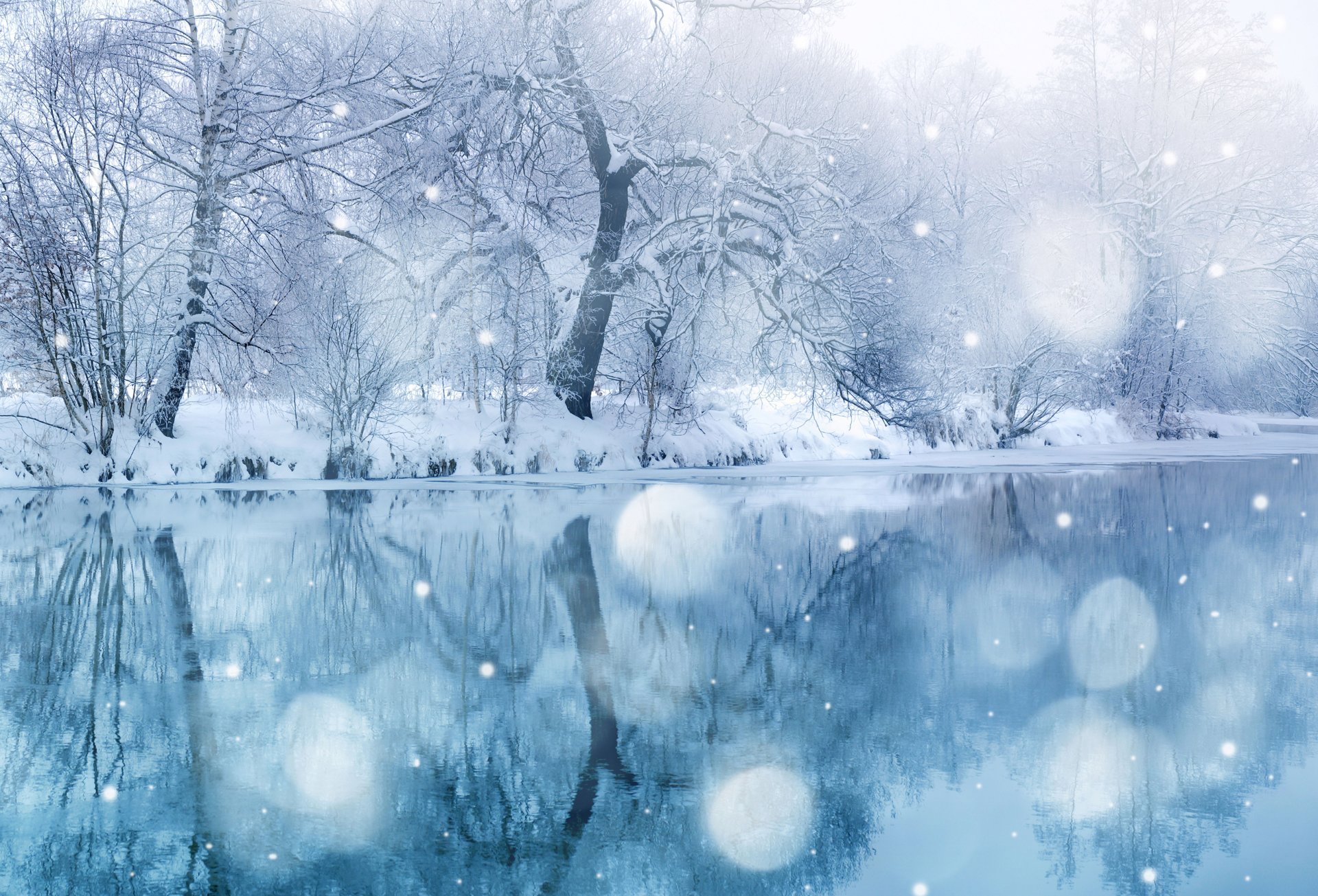 belleza de invierno capa azul vacaciones congeladas naturaleza de hielo temporada escénica maravillas de la nieve invierno nevadas árboles paisaje cuento de hadas