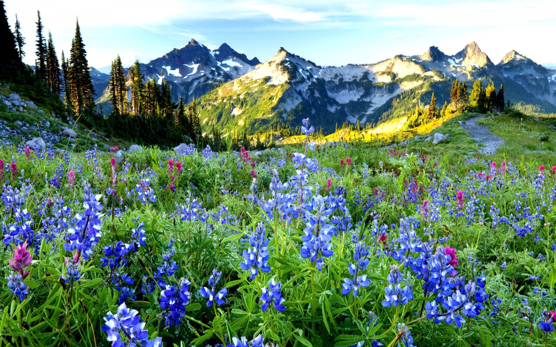 berge natur landschaft blumen gras bäume frühling himmel