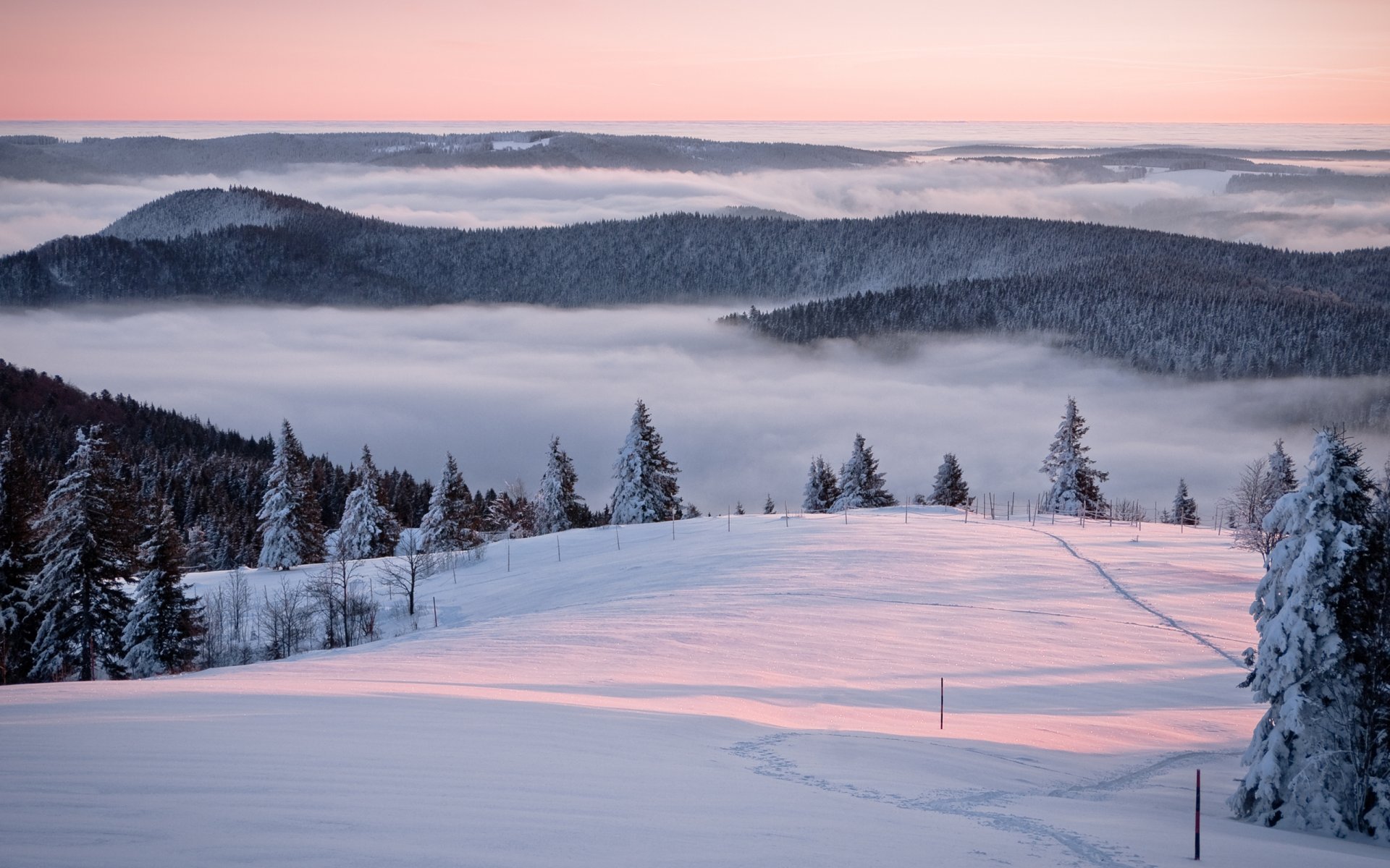 paisajes de invierno naturaleza de invierno nieve montaña montañas bosques árbol árboles descensos pendientes nieblas neblina silencio tranquilidad belleza lugares hermosos foto de invierno foto de invierno mañana