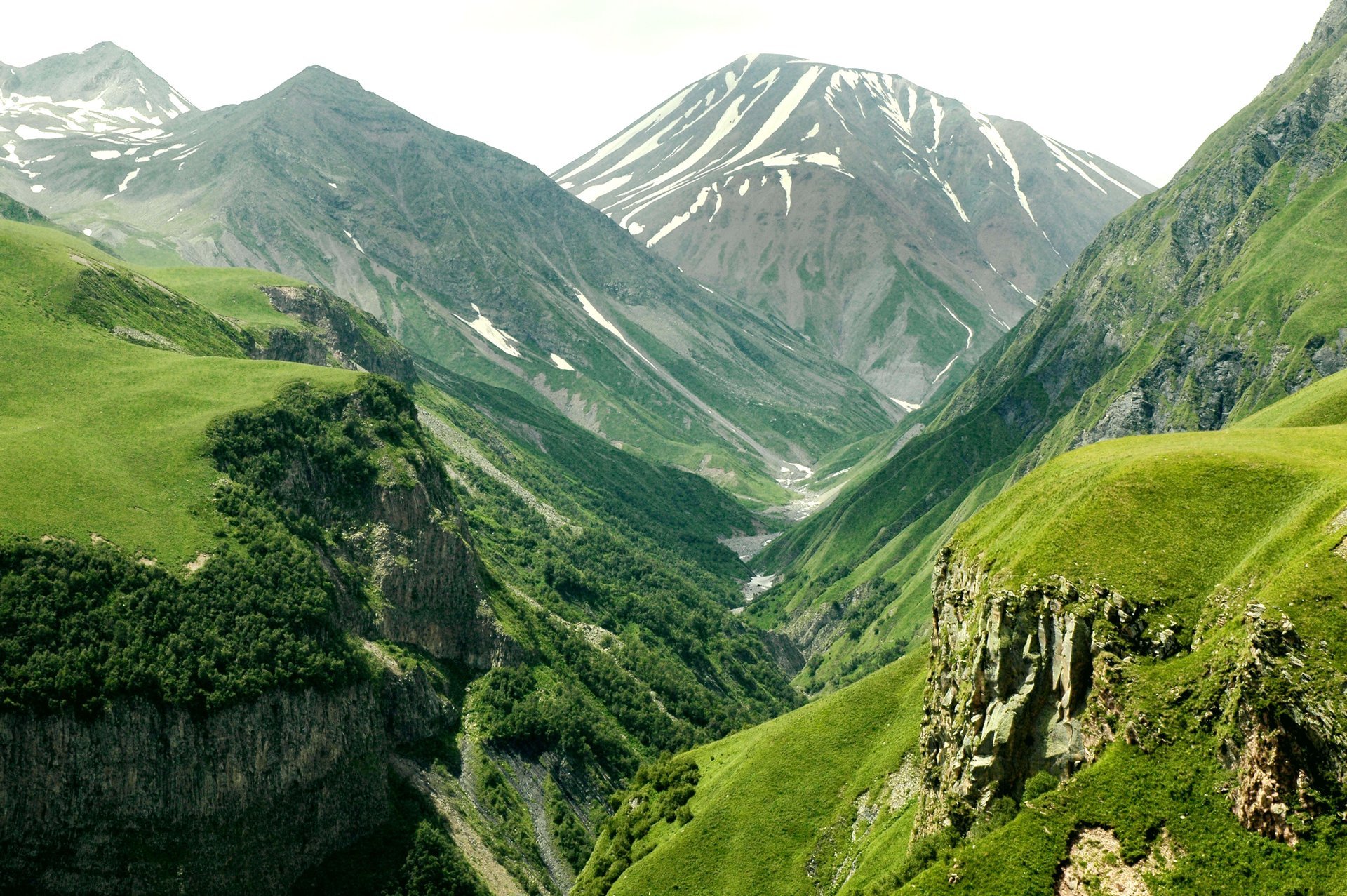 montañas valle altura pendiente bosque árboles espacio