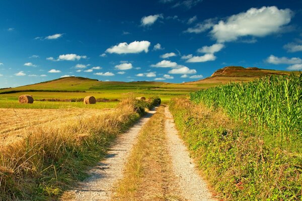 Village road in the field. Hay rolls. Corn. Endless expanses