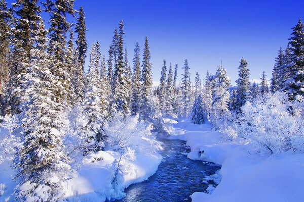 Un arroyo en el Fabuloso bosque de invierno