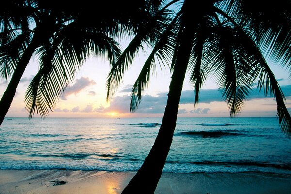 Puesta de sol frente al mar en Barbados