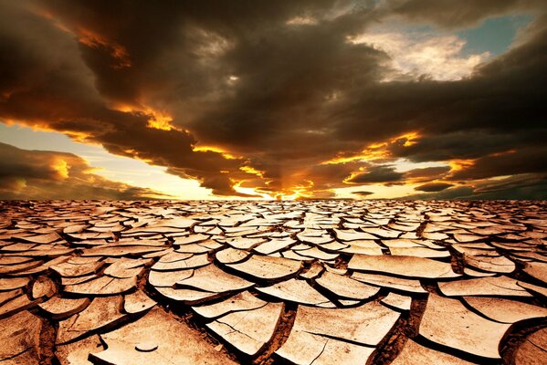 The drought-parched land of Africa stretching to the horizon against the background of a stormy sky