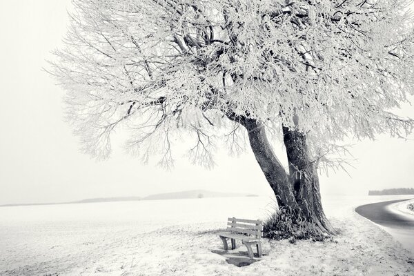 Bella vista invernale. legno e panca