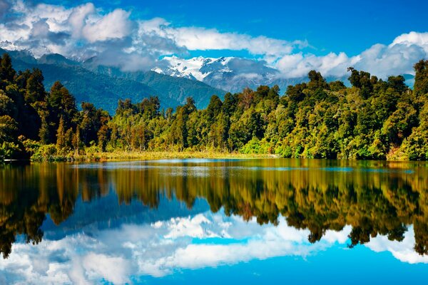 Озеро лес и горы в Новой Зеландии