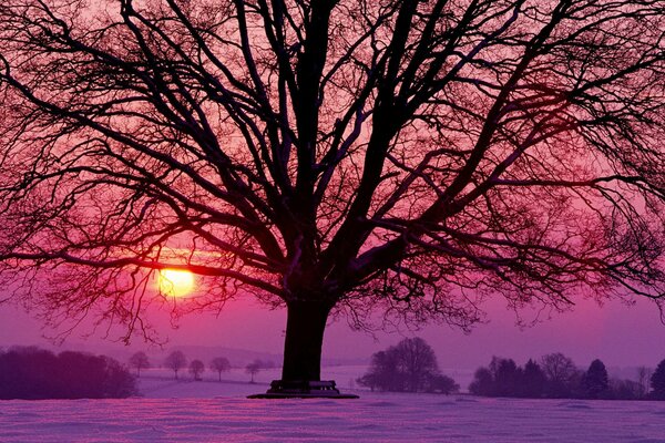 Invierno noche sol rojo serenata puesta de sol