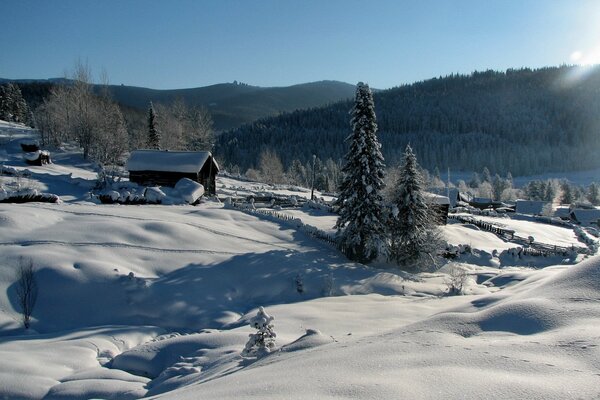 Winterlandschaft mit Haus und Weihnachtsbäumen