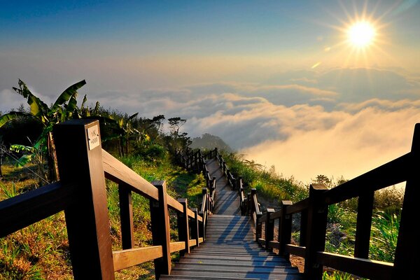 Escaleras que conducen al cuerpo de agua , iluminadas por el sol a través de la niebla de la mañana