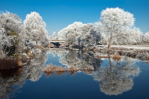 Paysage hivernal. Rivière. Givre