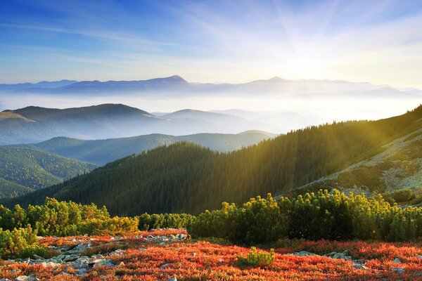 Aube dans la nature des montagnes