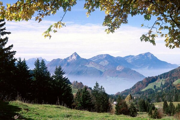 Lichtung in einem grünen Wald, der vor dem Hintergrund der hohen Berge liegt