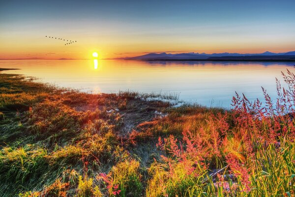 Sunset on the lake shore