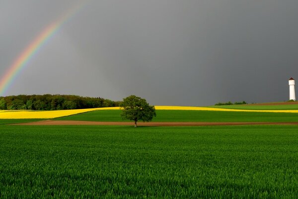 Arco iris sobre el campo después de la lluvia